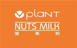 Vplant坚果奶